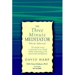 The Three-Minute Meditator: 30 Simple Ways to Unwind While Enhancing Your Emotional Intelligence