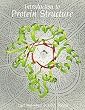 Introduction to Protein Structure