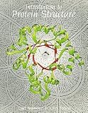Introduction to Protein Structure