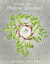 Introduction to Protein Structure