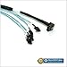 SFF-8087 90 degree Mini SAS 36 Pin to SATA 7 Pin Cable - 1 Meter