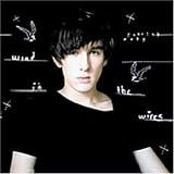 Wind in the Wires an album by Patrick Wolf
