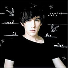 Patrick Wolf - Wind in the Wires Mp3