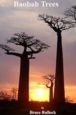 Baobab Trees