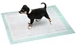 PUPPY PADS / BIG BOX - FÜR WELPEN - WC / LxB / 48 X 40 cm - 24er Packung