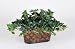Artificial Mini English Ivy in Oval Planter