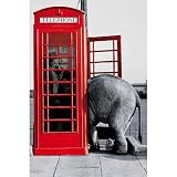 (24x36) Its for You (Elephant in Phone Booth) Art Poster Print