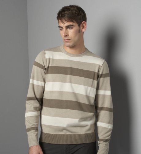 Big & Tall Autograph Crew Neck Stripe Jumper