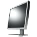 Eizo L795 19-Zoll TFT-Monitor grau (DVI)