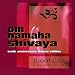 Om Namaha Shivaya