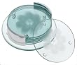 Global Decor Flower Pattern Glass Coasters and Stand, Set of 6