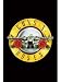 GB eye Ltd, Guns N Roses, Logo, Maxi Poster, (61x91.5cm) LP0926