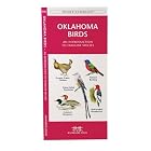 Oklahoma Birds: An Introduction to Familiar Species (State Nature Guides) by James Kavanagh and Raymond Leung