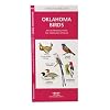 Oklahoma Birds: An Introduction to Familiar Species (State Nature Guides)