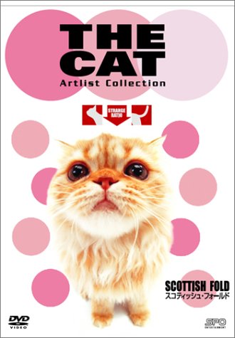 Cover image : THE CAT ～スコティッシュ・フォールド～ [DVD]