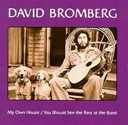 David Bromberg Picture 3