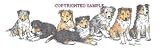 Sheltie - Puppies in a Row by Cindy Farmer