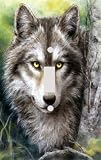 Forest Wolf Decorative Switchplate Cover