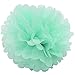 HEARTFEEL 6pcs 10 inch Tissue Paper Pom-poms Cream Mint Peach Outdoor Decoration Tissue Paper Pom Poms Party Balls Wedding Christmas Xmas Decoration