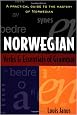Norwegian Verbs And Essentials of Grammar