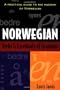 Norwegian Verbs And Essentials of Grammar