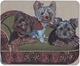 Yorkies on Sofa Mousepad