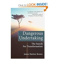 Dangerous Undertaking: The Search for Transformation