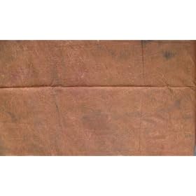 Ardinbir Studio 10 x 12 ft 100% Cotton Brown-2 Hand Painted Patterned Muslin Background Backdrop
