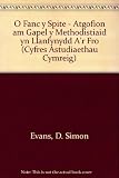 O fanc y Spite : atgofion am Gapel y Methodistiaid yn Llanfynydd, a'r fro