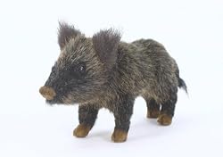 Wild Boar Limited Edition Plush Toy in Clear Box By Hansa