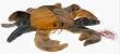 Ty Beanie Babies - Claude the Crab Ty Dye (Retired)