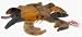 Beanie Babies: A Treasury