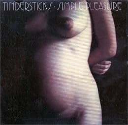 Tindersticks Picture 8