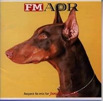 &rdquo;FMAOR&rdquo;～リスペクト・リミックス for J.I