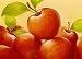 Eve's Apple by Susanne Bach Art Print Poster - FRAMED