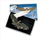 EAGLE WING POCKET KNIFE