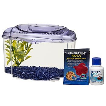 Marina Betta Pals Aquarium Kit – Purple