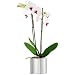 Blomus 66829 Blumentopf � 14 cm GREENS