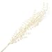 Factory Direct Craft Ivory Iridescent Twig Branches for Indoor Decorating - 12 Stems