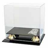 Carolina Panthers Coach's Choice Mini Helmet Display
