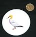 3 button / pin printed with gannet, northern, beak, bird, animal