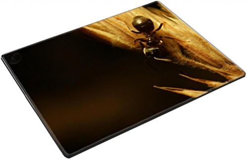 Puppy Dog Animal Yellow Black Butterfly Punktail's Collections Square Coasters 4 Piece Set Fabric Rubber 5 Inches