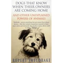 Dogs That Know When Their Owner Are Coming Home. And other unexplained powers of animals (Arrow) (Taschenbuch)