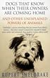 Dogs That Know When Their Owners Are Coming Home: And Other Unexplained Powers of Animals