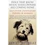 Dogs That Know When Their Owners are Coming Home