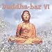 Buddha Bar VI