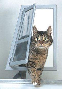 Screen Door, Pet Passage Door