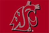 Washington State Cougars Door Mat Rug 20x30