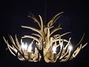 8 Lite Large Mule Deer Chandelier
