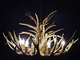 8 Lite Large Mule Deer Chandelier